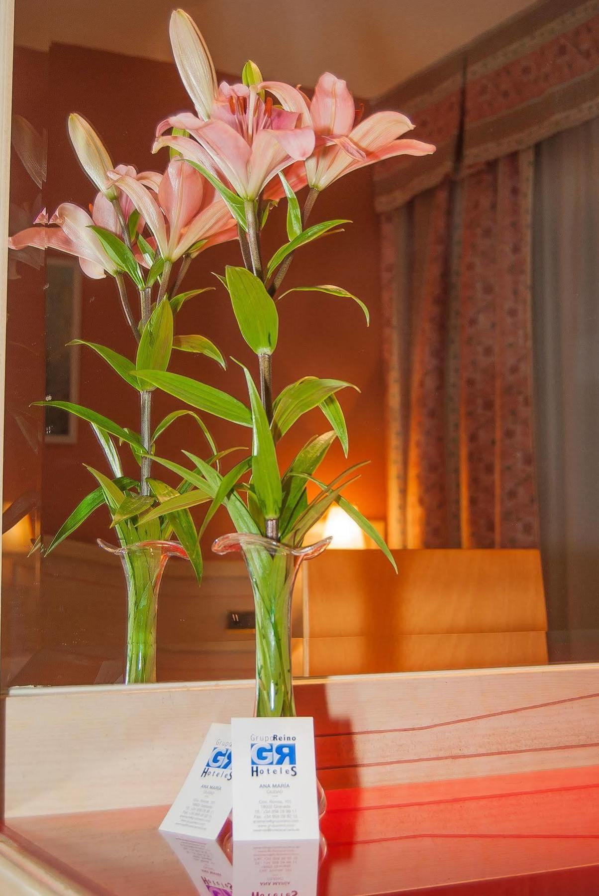 Ana Maria Hotel Granada Luaran gambar